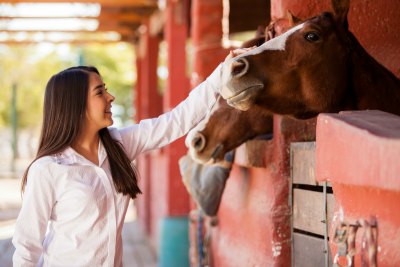 Find out more about our list of top residential treatment centers using equine and animal therapy